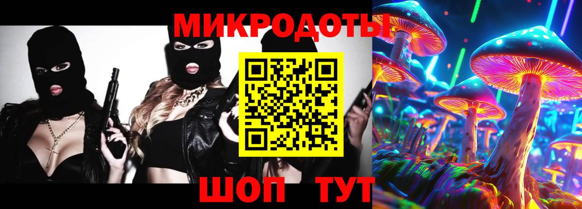 Псилоцибиновые грибы Cubensis Кизляр