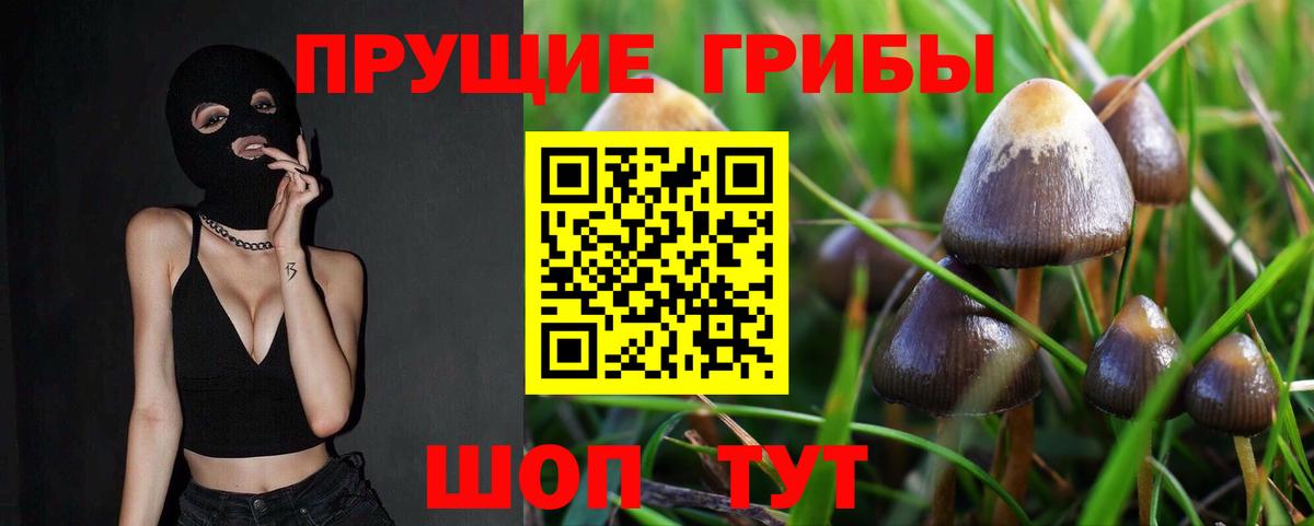 Псилоцибиновые грибы Magic Shrooms  Вход с VPN  Кизляр 